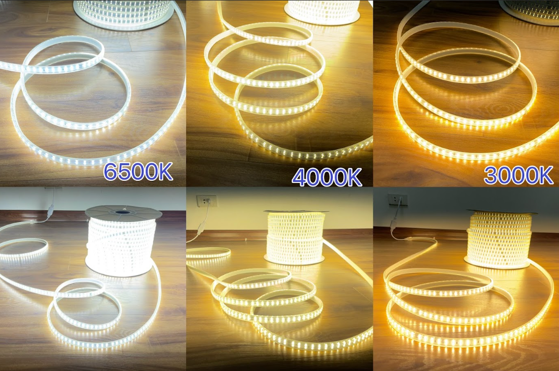 Đa dạng màu sắc ánh sáng dây LED 220V