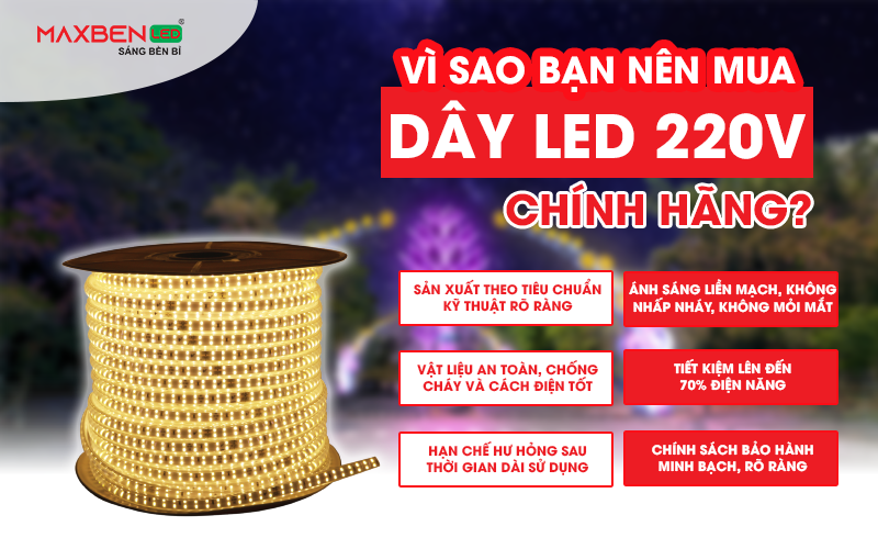 Vì sao nên mua dây LED 220V?