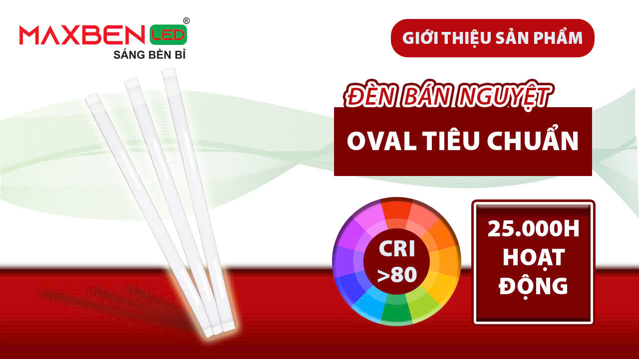 Đèn tuýp LED bán nguyệt Oval tiêu chuẩn