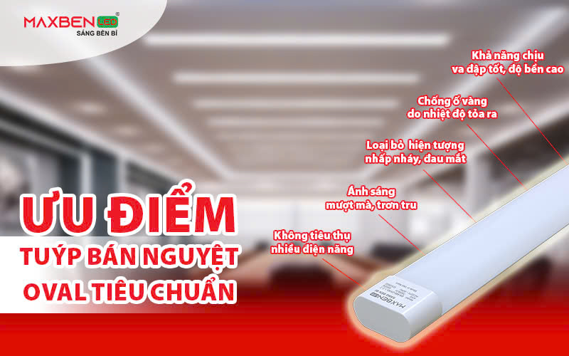 Ưu điểm tuýp bán nguyệt Oval tiêu chuẩn.