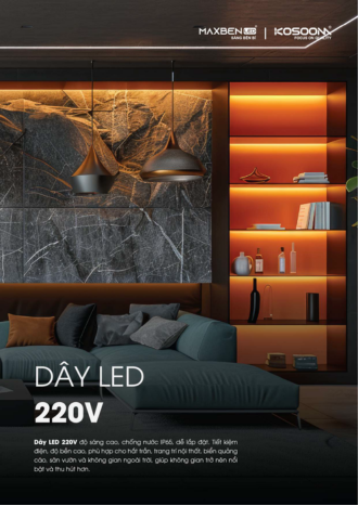 Dây LED 220V